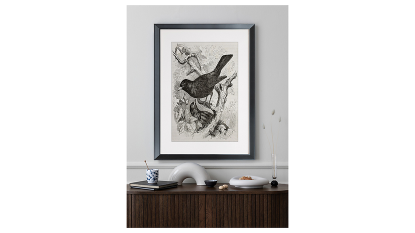 Obraz w ramie Birds On Branches 46x56 cm