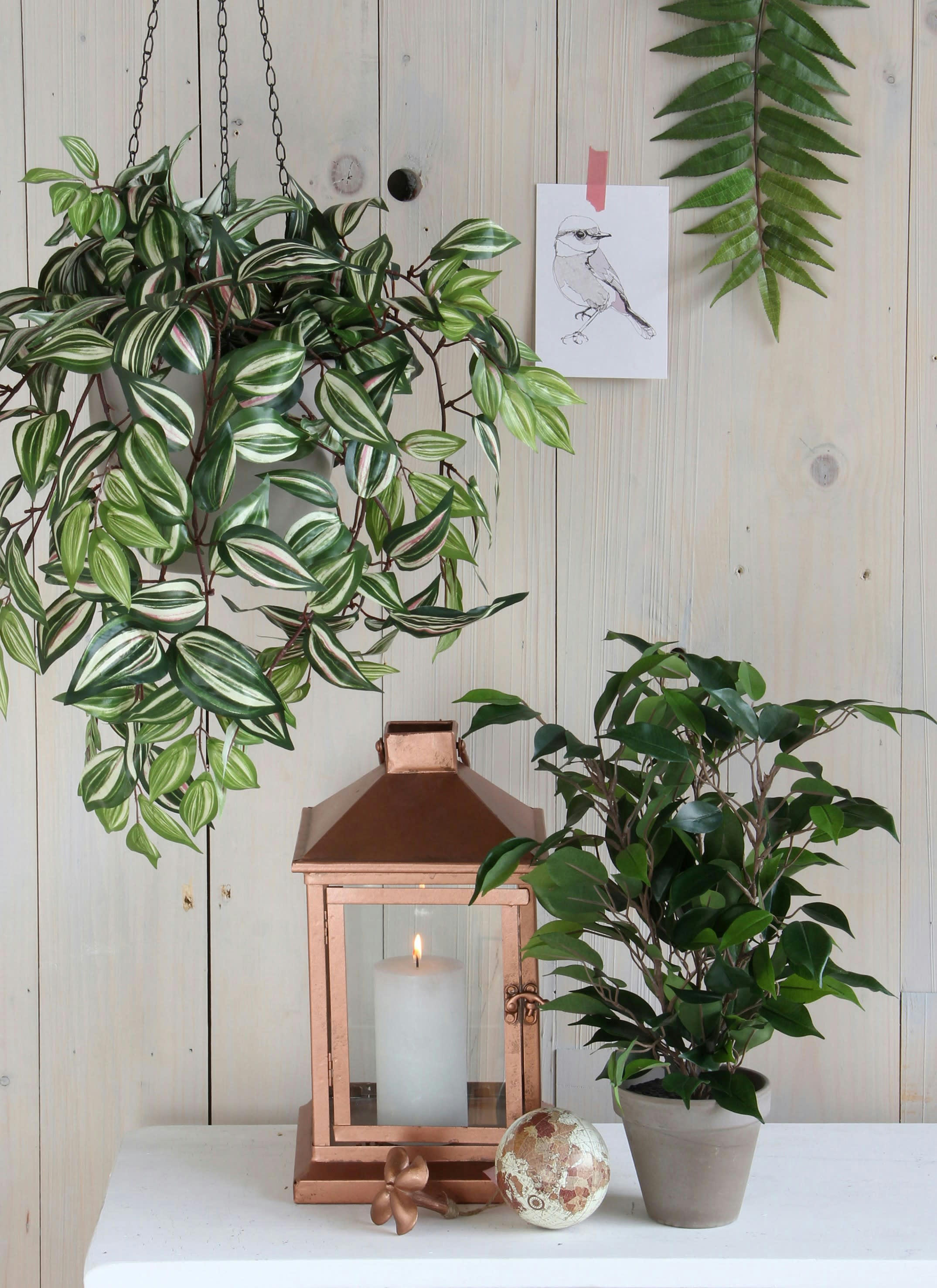 - Ficus natasja artificielle verte en pot H40