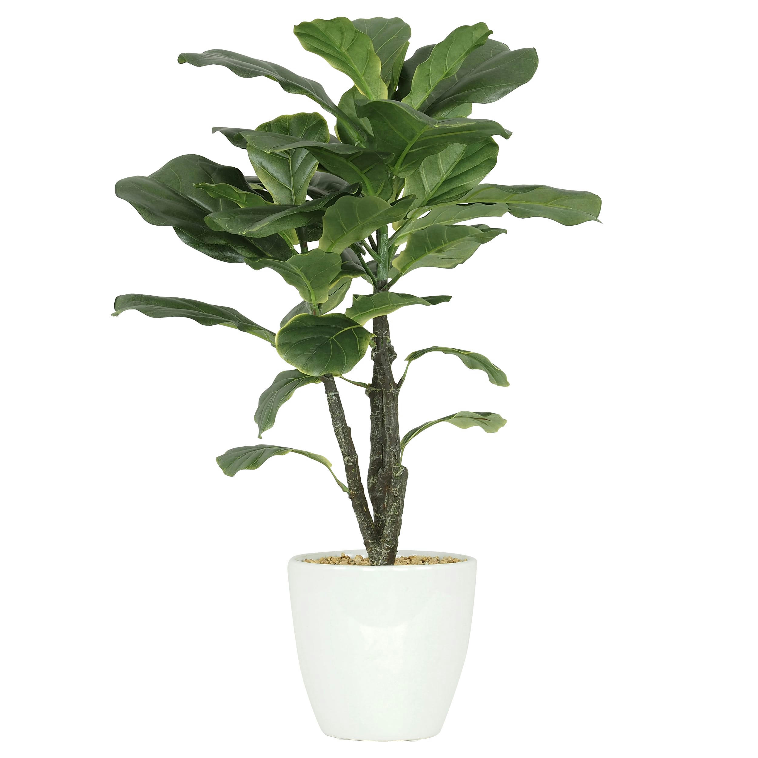 - Ficus artificiel lyrata 65cm