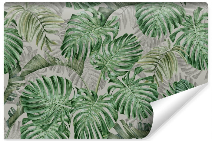 Fototapeta Do Sypialni Liście MONSTERA 3D 90x60cm