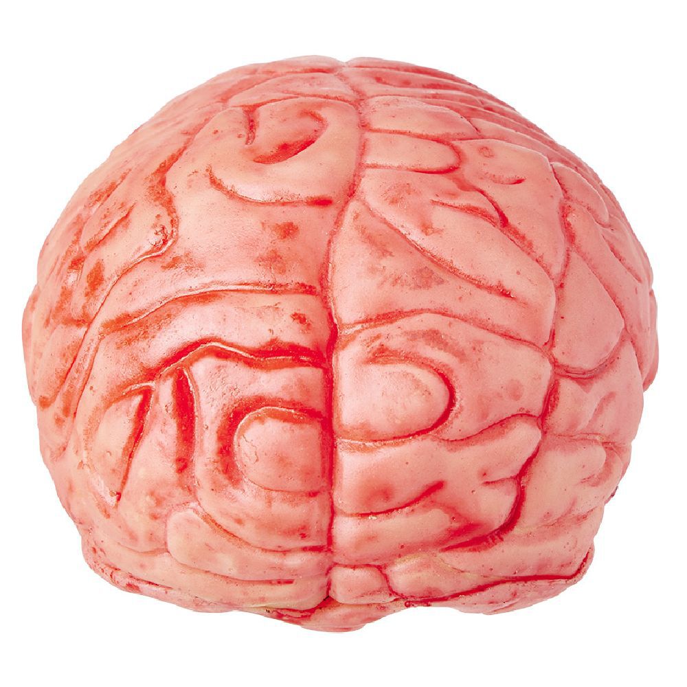 Faux cerveau sanglant en plastique