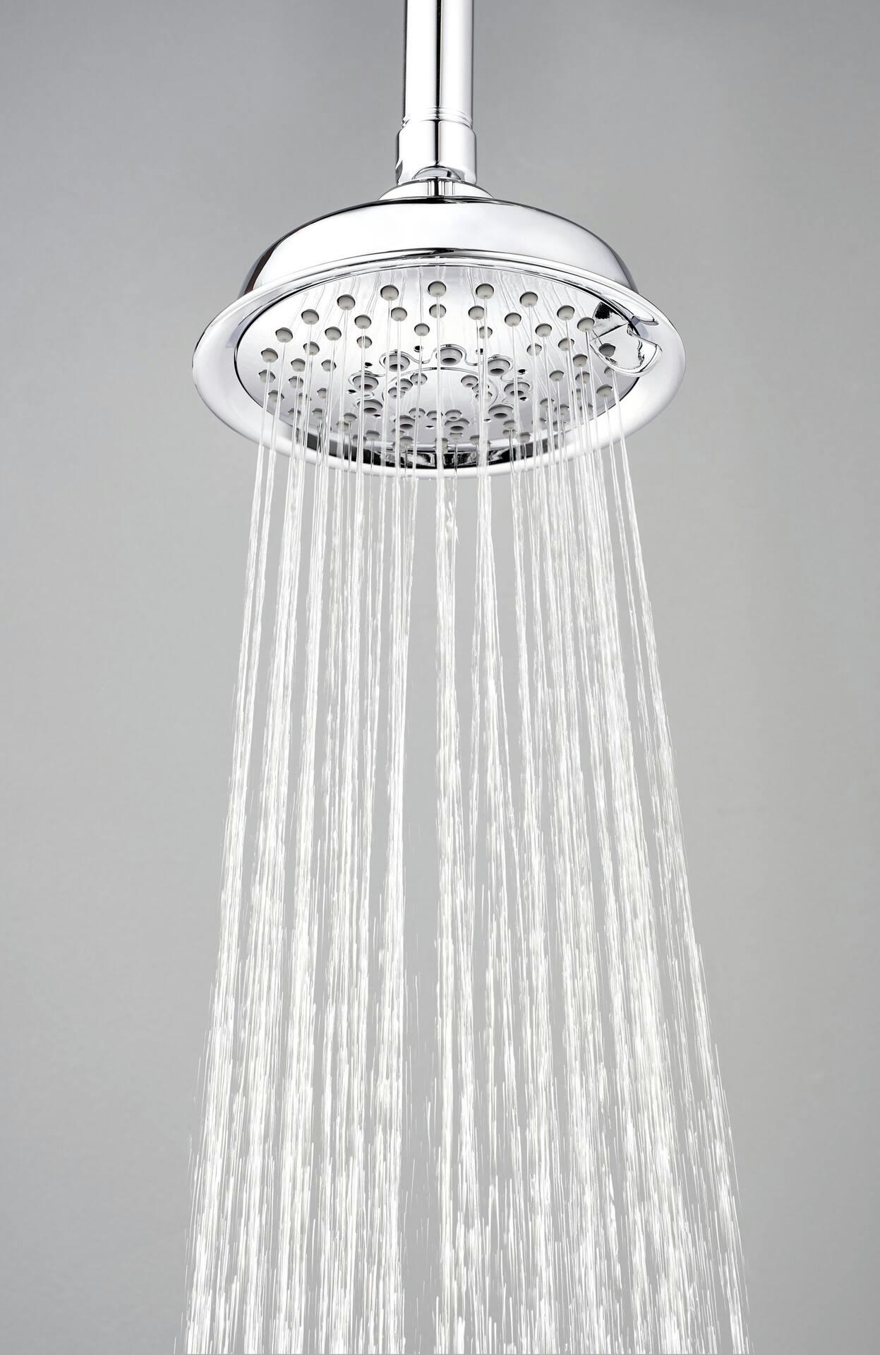 Pfister Universal 5-Setting Spray Shower Head, Chrome