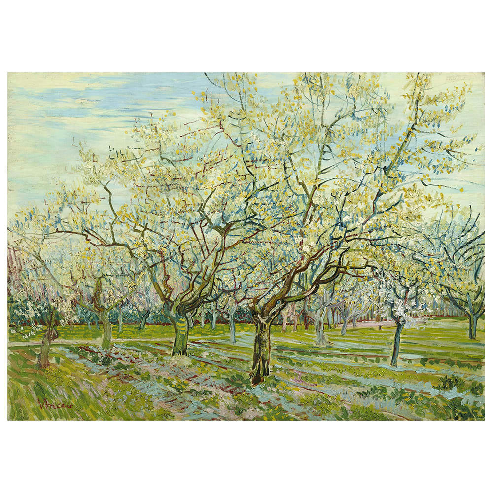 - Tableau - Le Verger Blanc - Vincent Van Gogh 60x80cm
