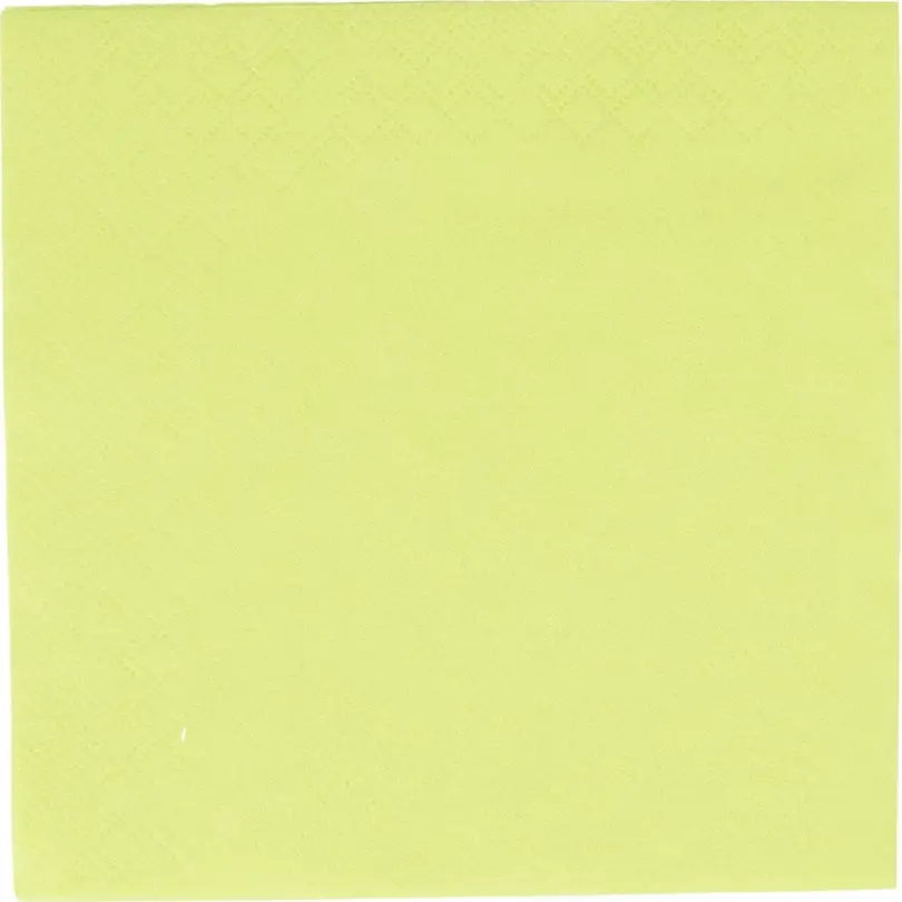 Serviette 100er-Set Elco
