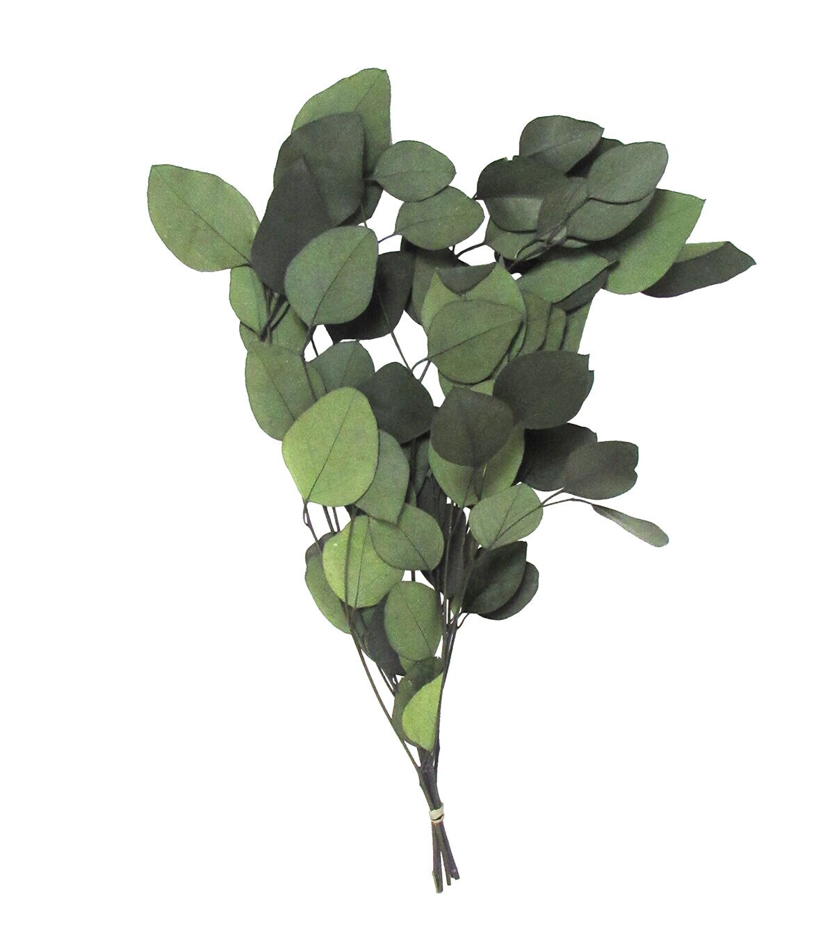 17 Dried Eucalyptus Populus Bouquet by Bloom Room