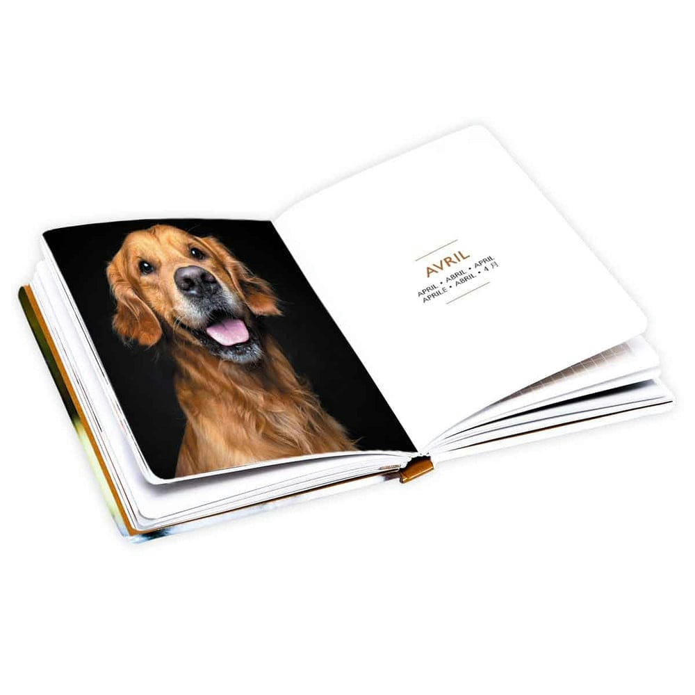 - Agenda de poche 2024 - Chiens