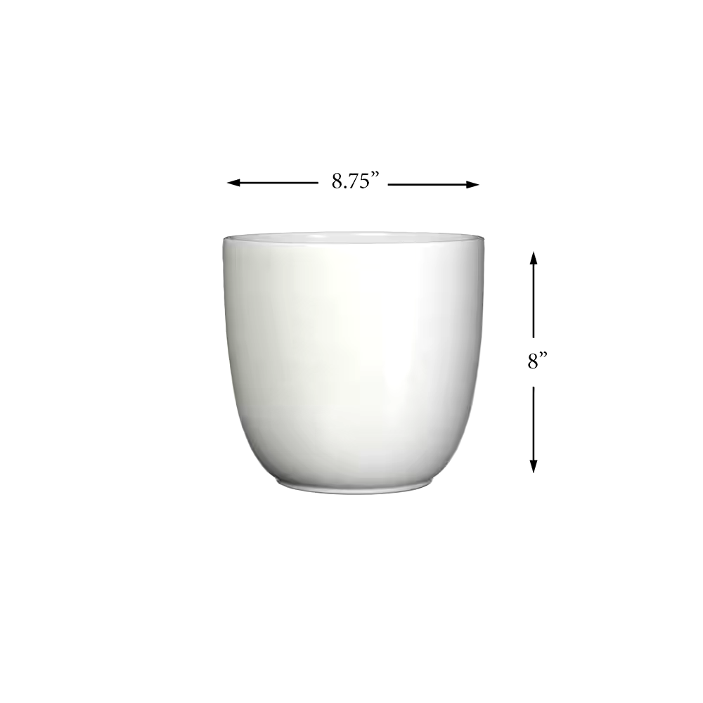 CANVAS Tusca Indoor Ceramic Round Planter, 22-cm, Assorted Colours