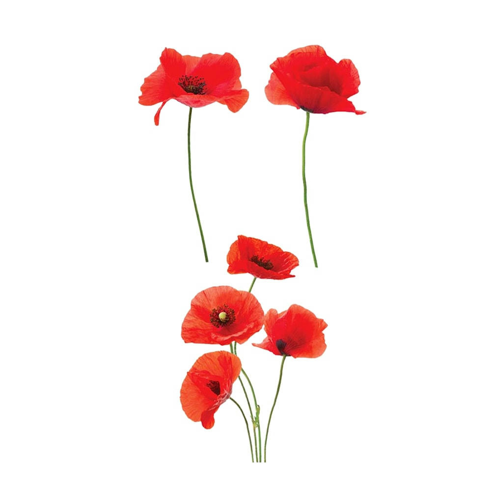 COQUELICOTS - Autocollant pour vitres coquelicots 44,5x51cm