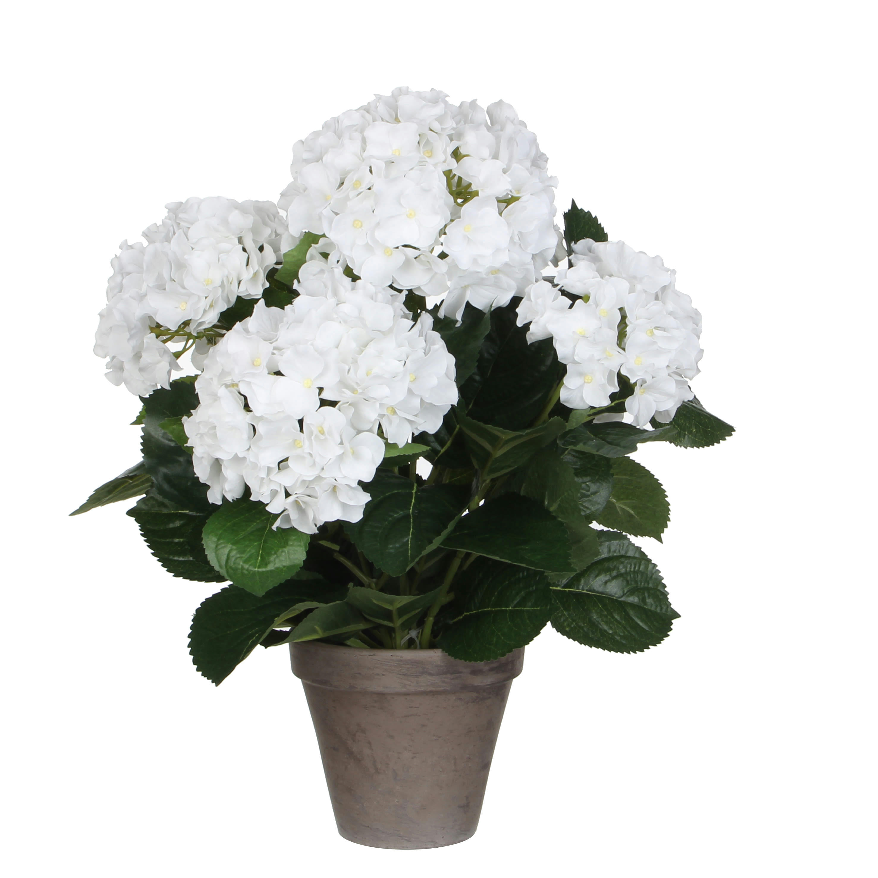 - Hortensia artificielle blanc en pot H45