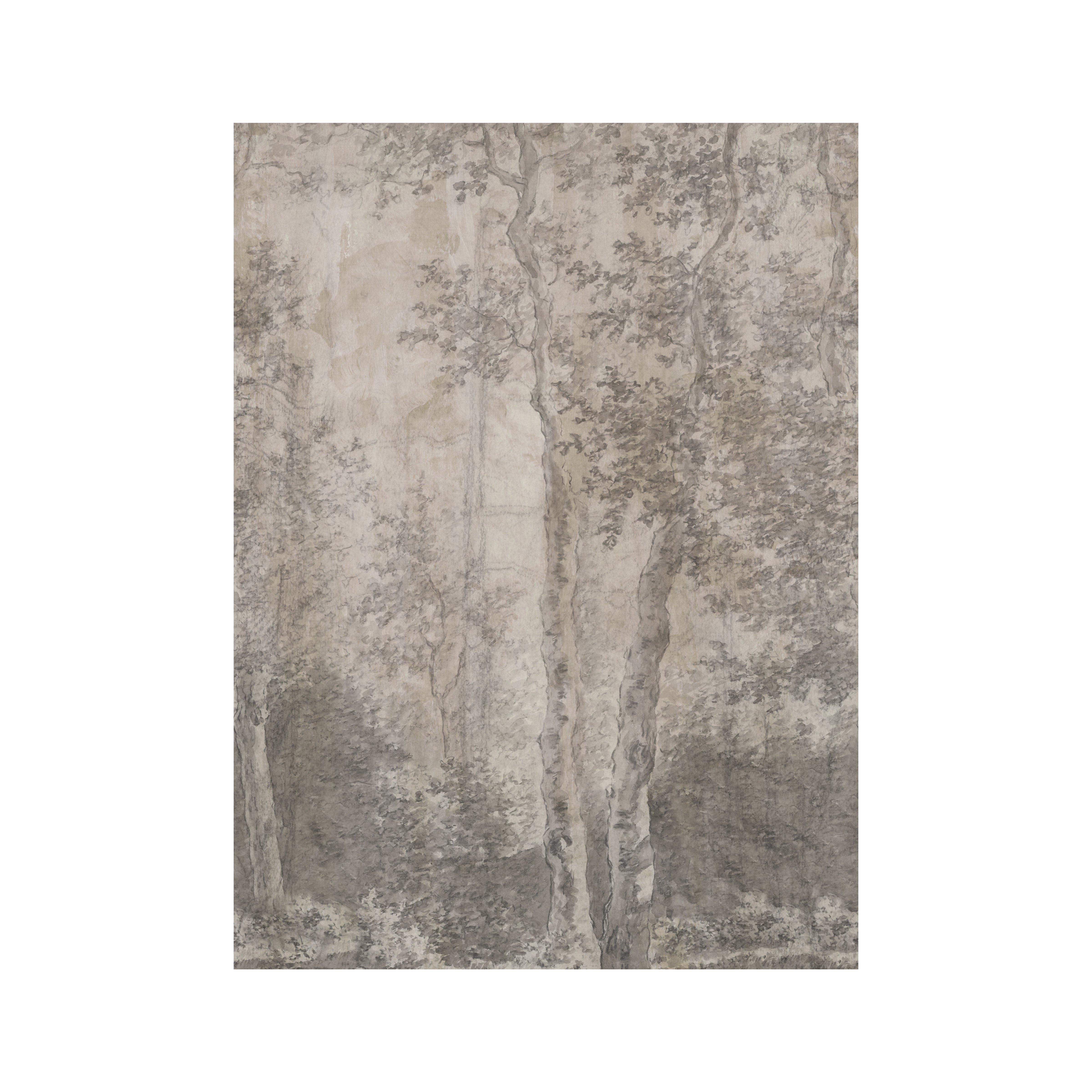 LOOKS by Wolfgang Joop Fotobehang - Berkenbomen - 270x200cm