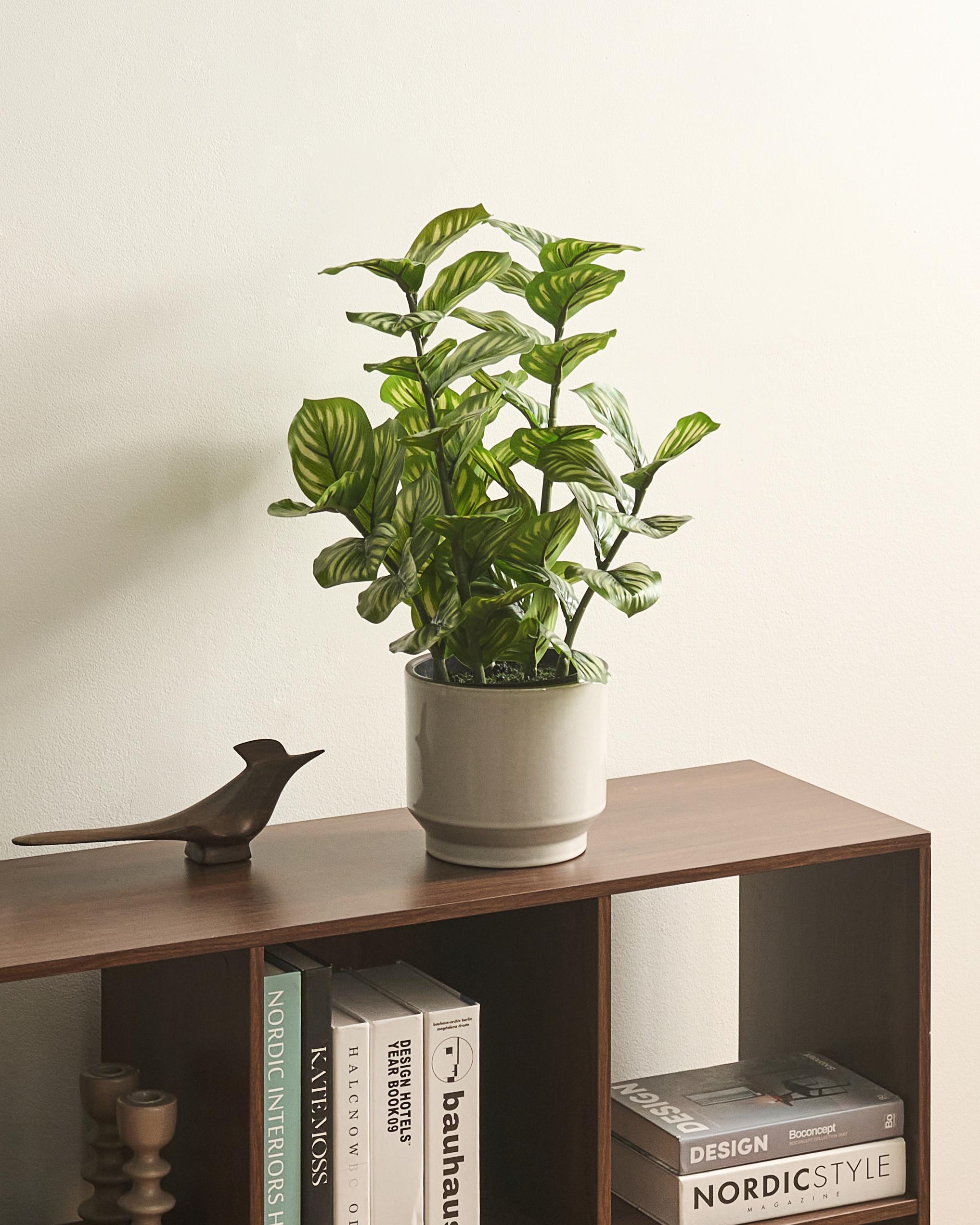 Artificial Plant ORBIFOLIA 50 cm Green