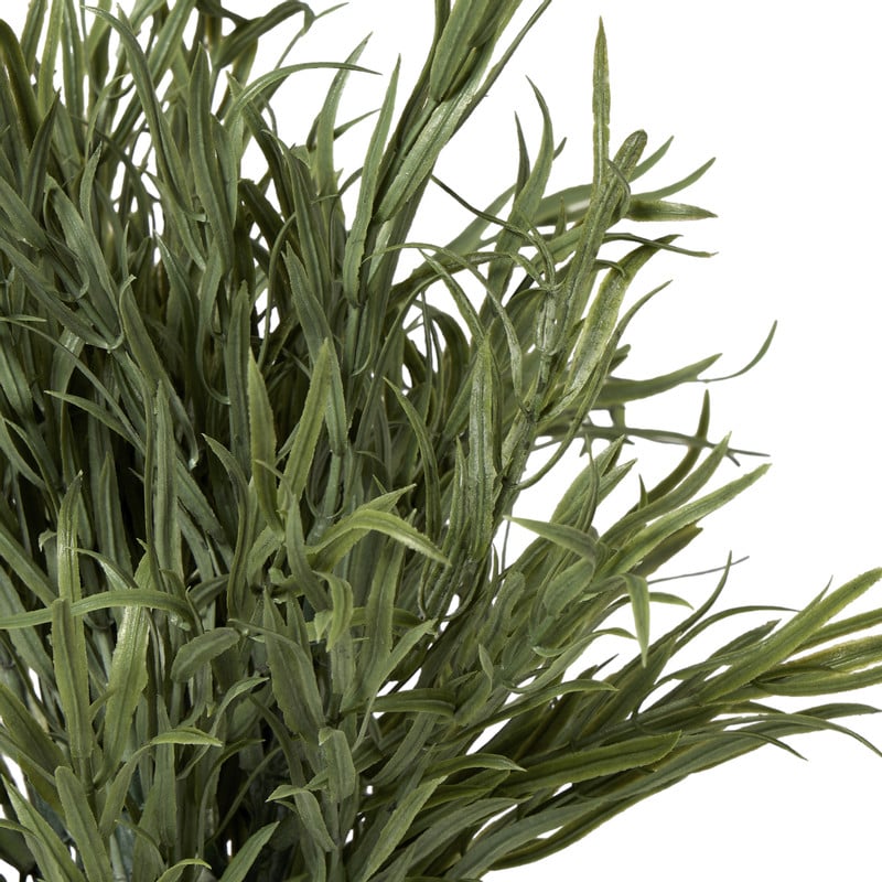 Lavendel plantje in pot - groen -&Oslash;16x24 cm