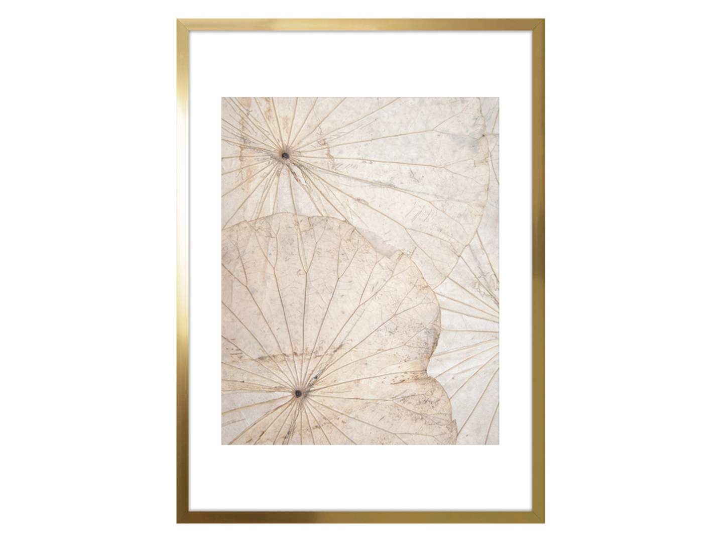 Obraz Nature No.2 50x70 cm