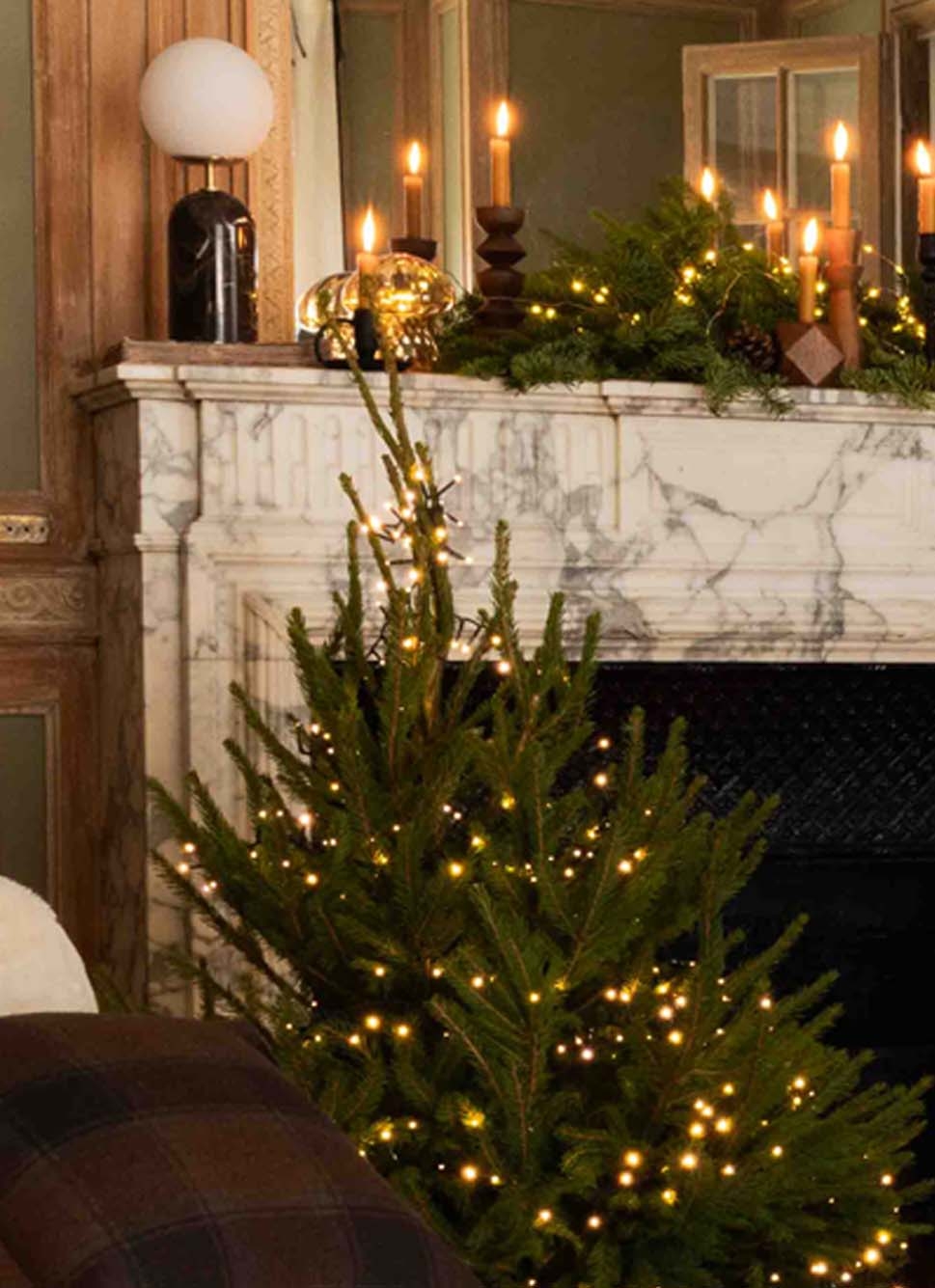 CHAMPIGNON LUMINEUXAMBRE