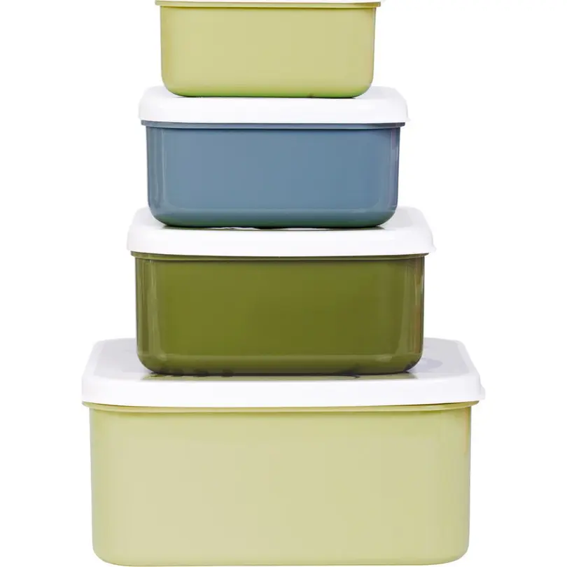 Snack-Box 4er-Set Dinosaurier