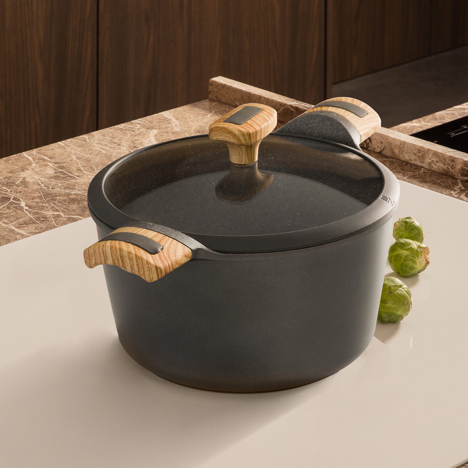 Pentola 22 cm con coperchio Evolution