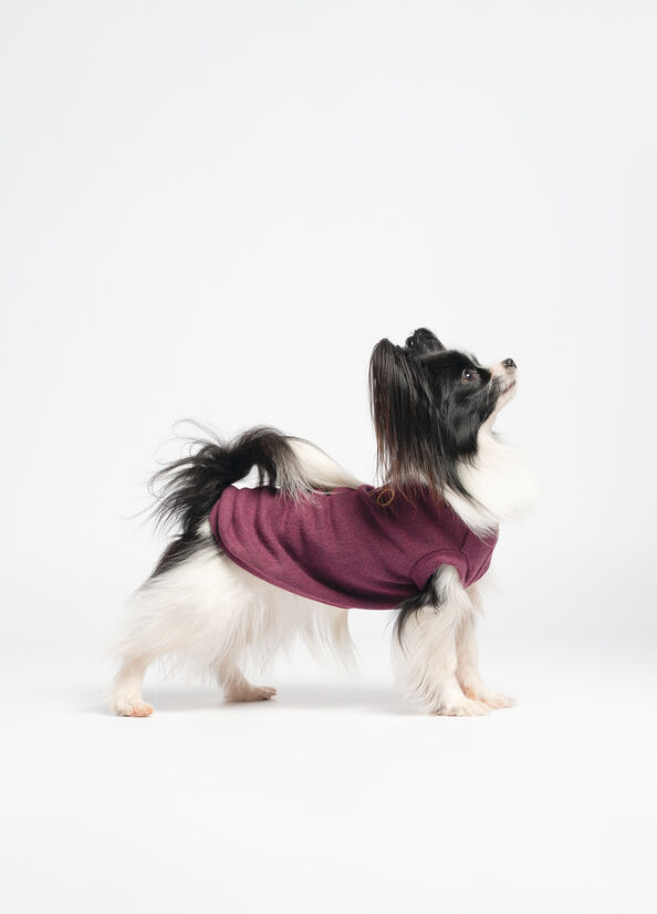 Pullover in cotone Liu Jo Pets