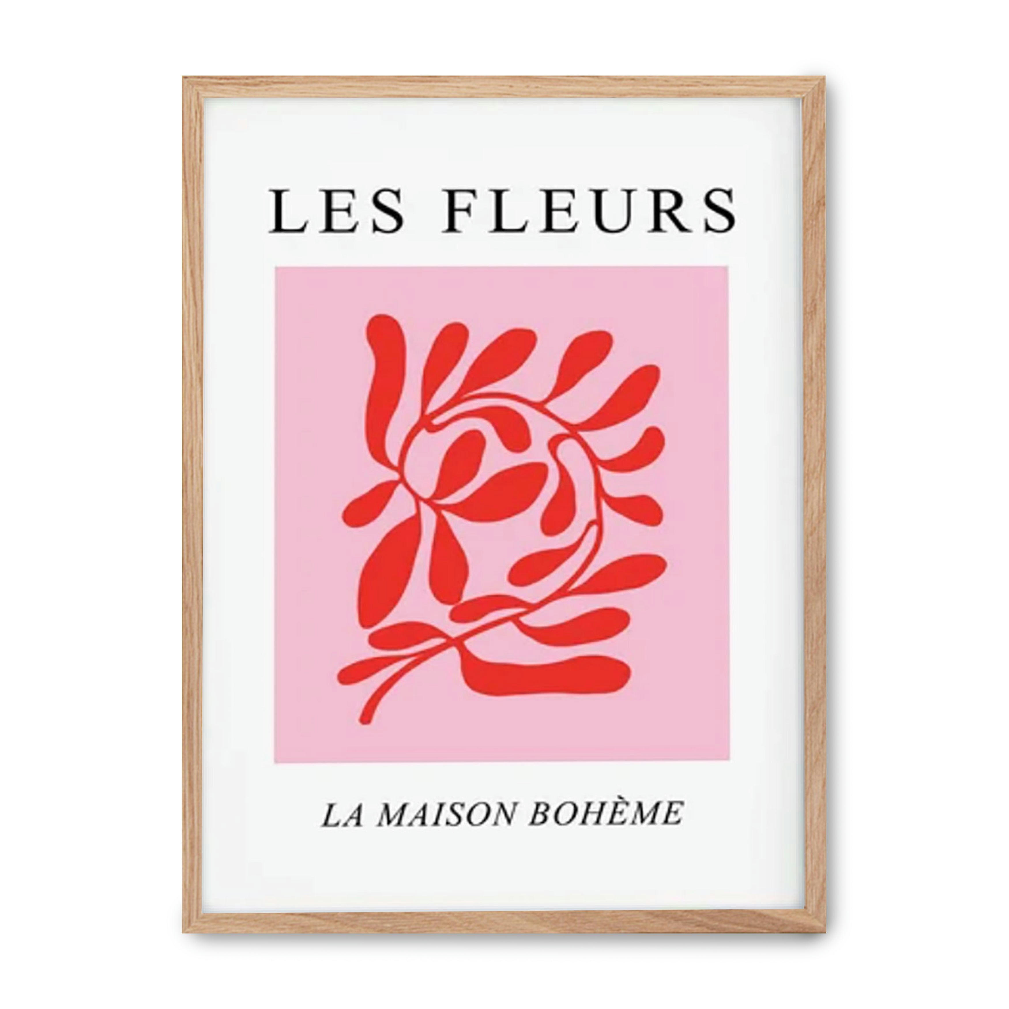 MATISSE - - 30x40