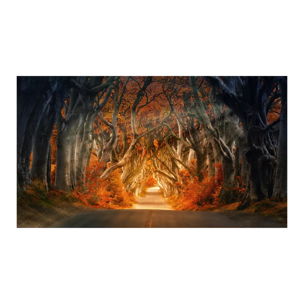 Leinwandbild Digital Art