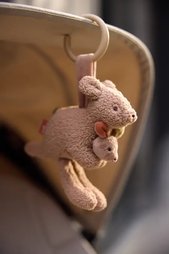 Kinderwagenanhänger Kangaroots