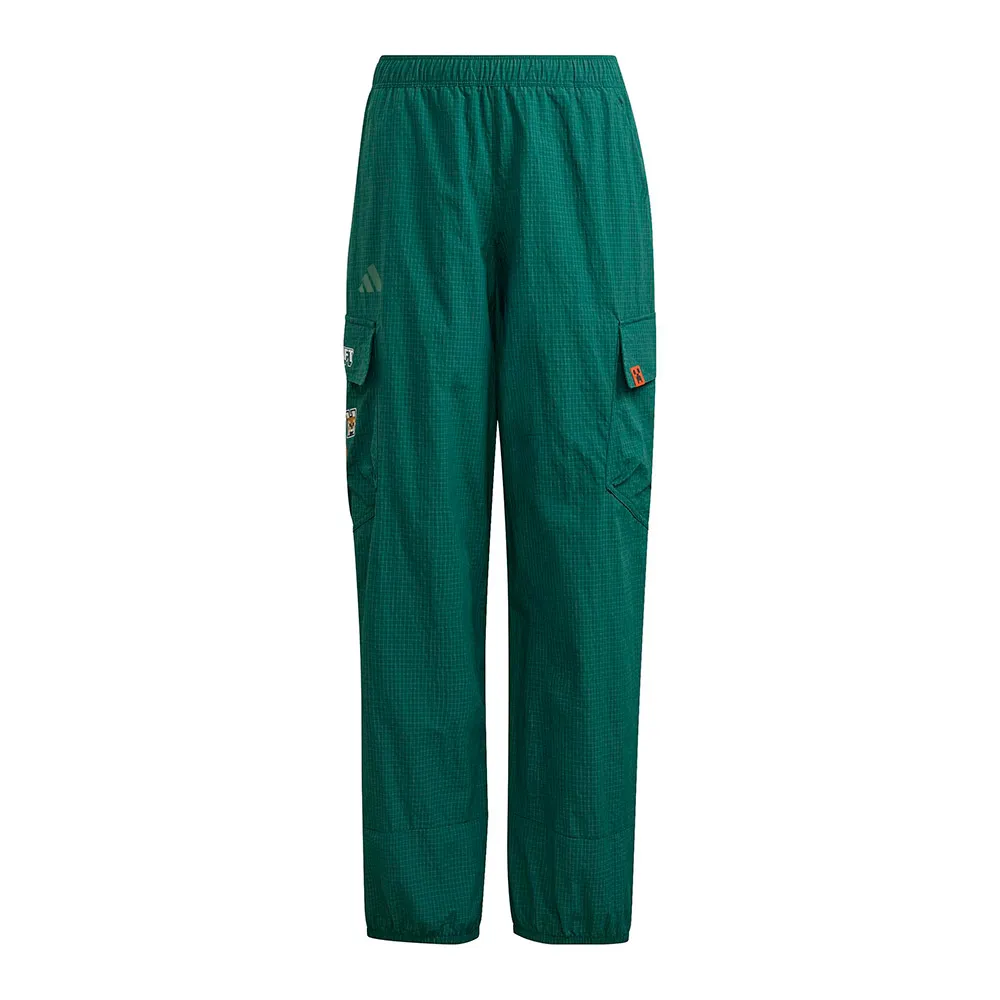 adidas Minecraft Terrex Clima365 Cargo pants