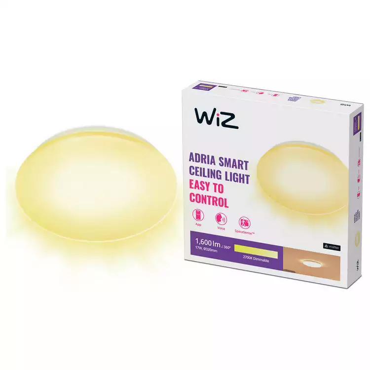 WiZ Adria Metal LED Smart Flush Ceiling Light - White