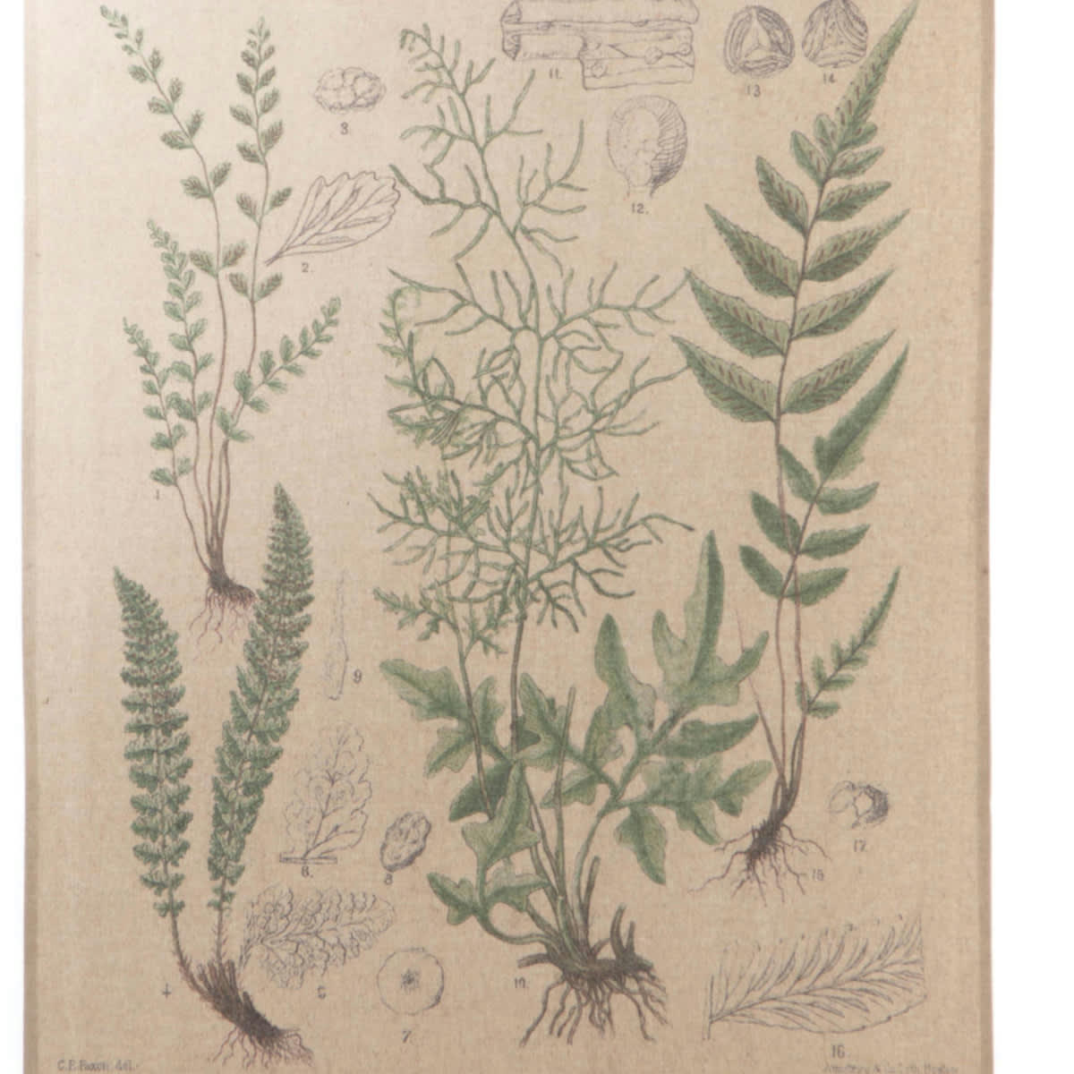 KAKEMONO - Toile déco botanique à suspendre 97x76cm