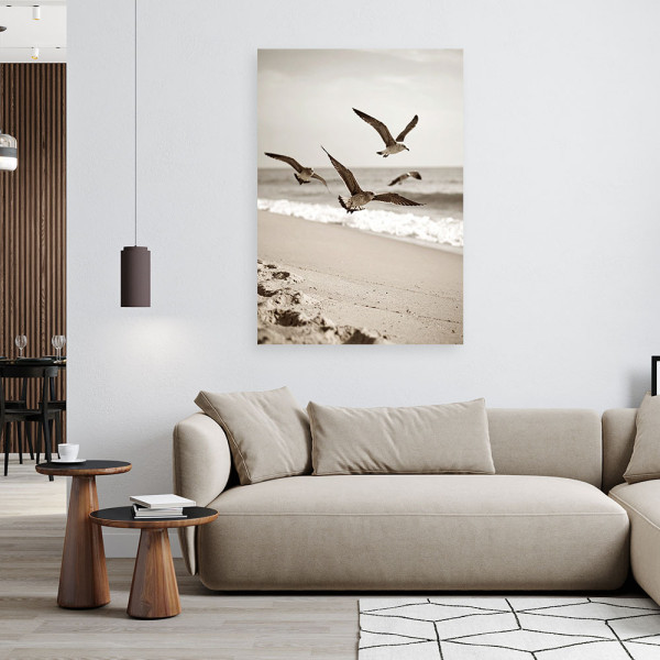 Obraz do salonu kuchni biura, Mewy ptaki morze plaża natura 20x30