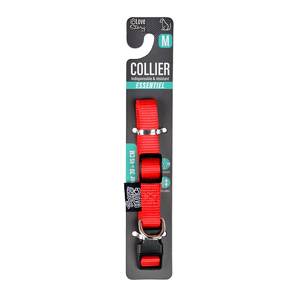 Collier Réglable Chien 