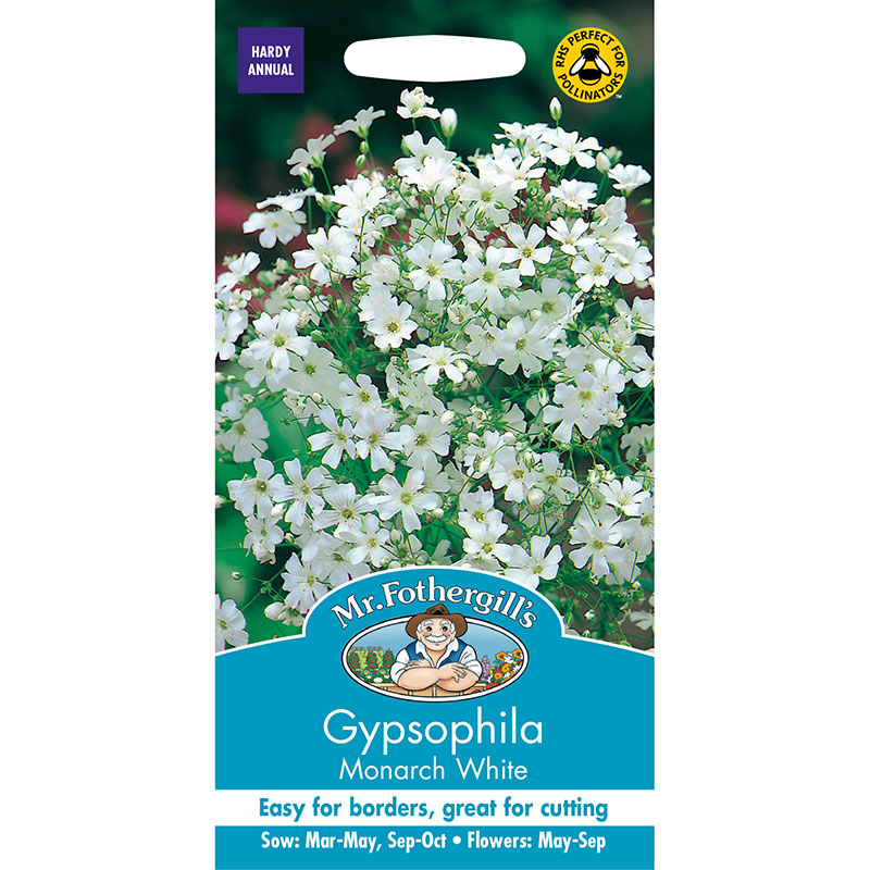 Sommarslöja 'Monarch White'
