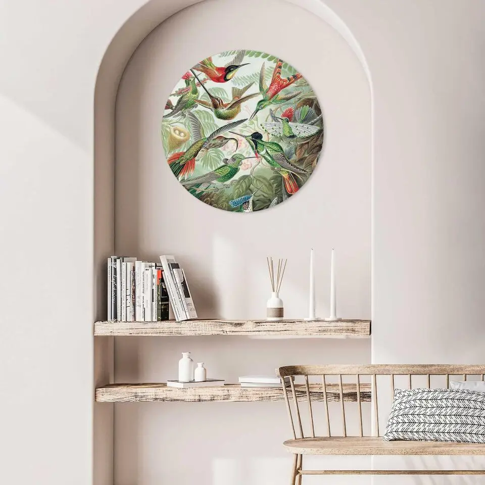 Plexiglasschilderij Hummingbirds - &Oslash; 50 - Groen