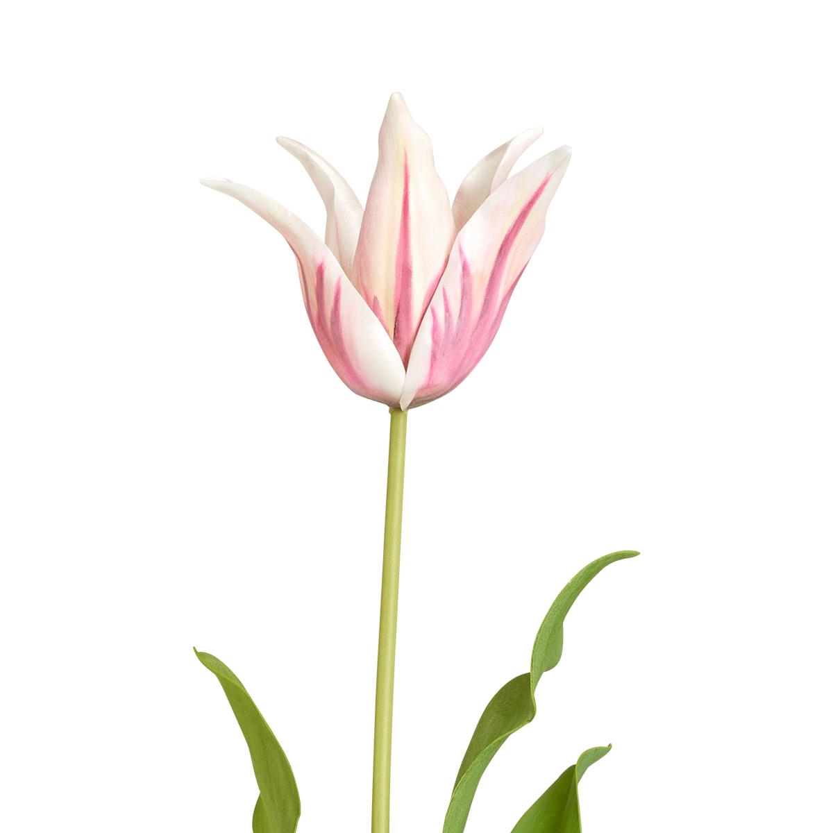 PICA - Tulipe artificielle Pica H63cm