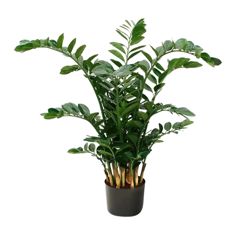 Kunstpflanze Zamioculcas