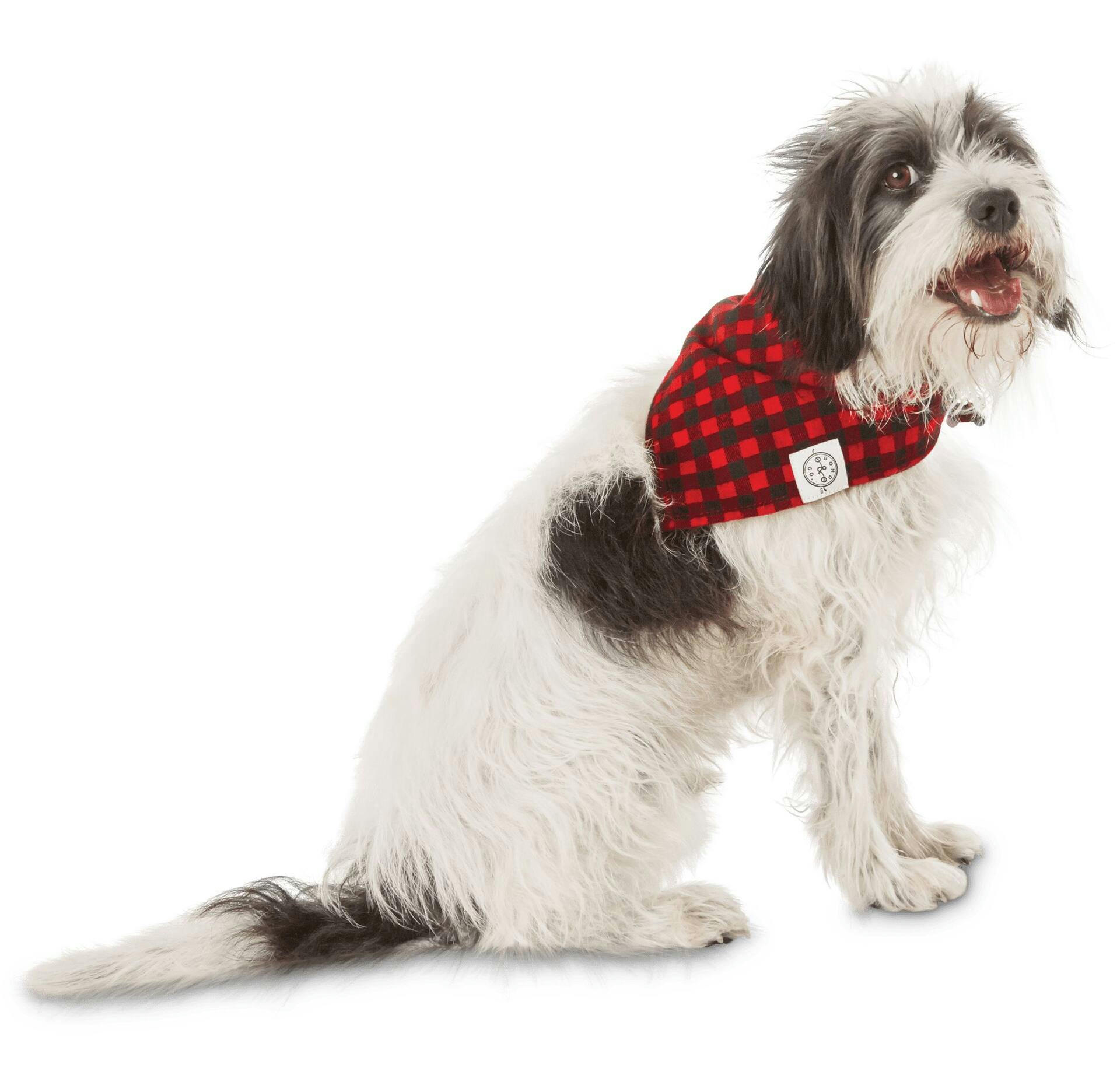 Petco Buffalo Check Plaid Dog/Pet Bandana, Adjustable and Washable, Assorted Sizes