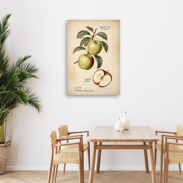 Feeby Obraz na płótnie, Owoce Vintage Jabłko 40x60