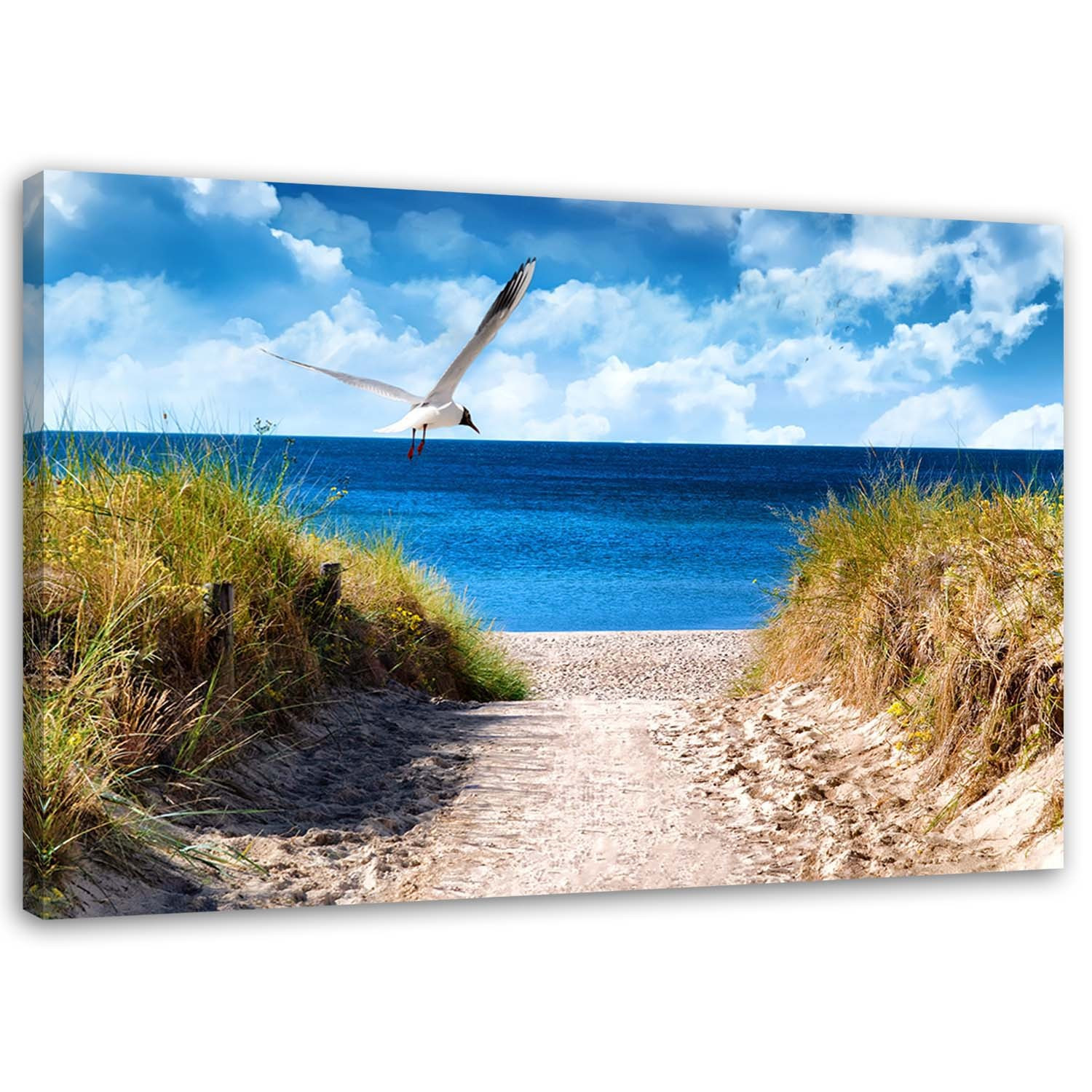 Feeby Obraz na płótnie, Ścieżka na plażę i mewa 60x40