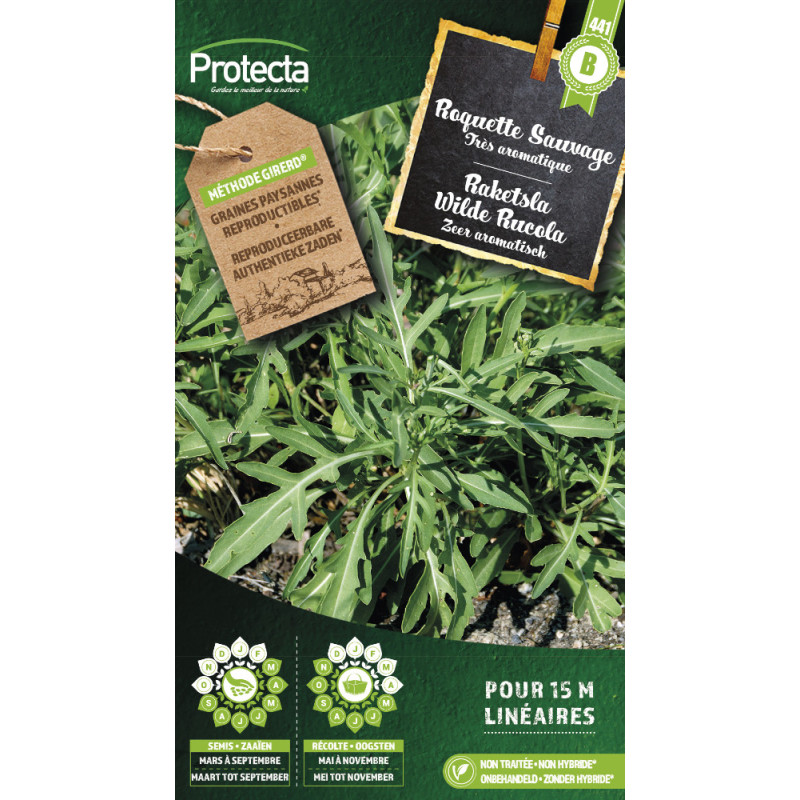 Semences de roquette Sauvage PROTECTA