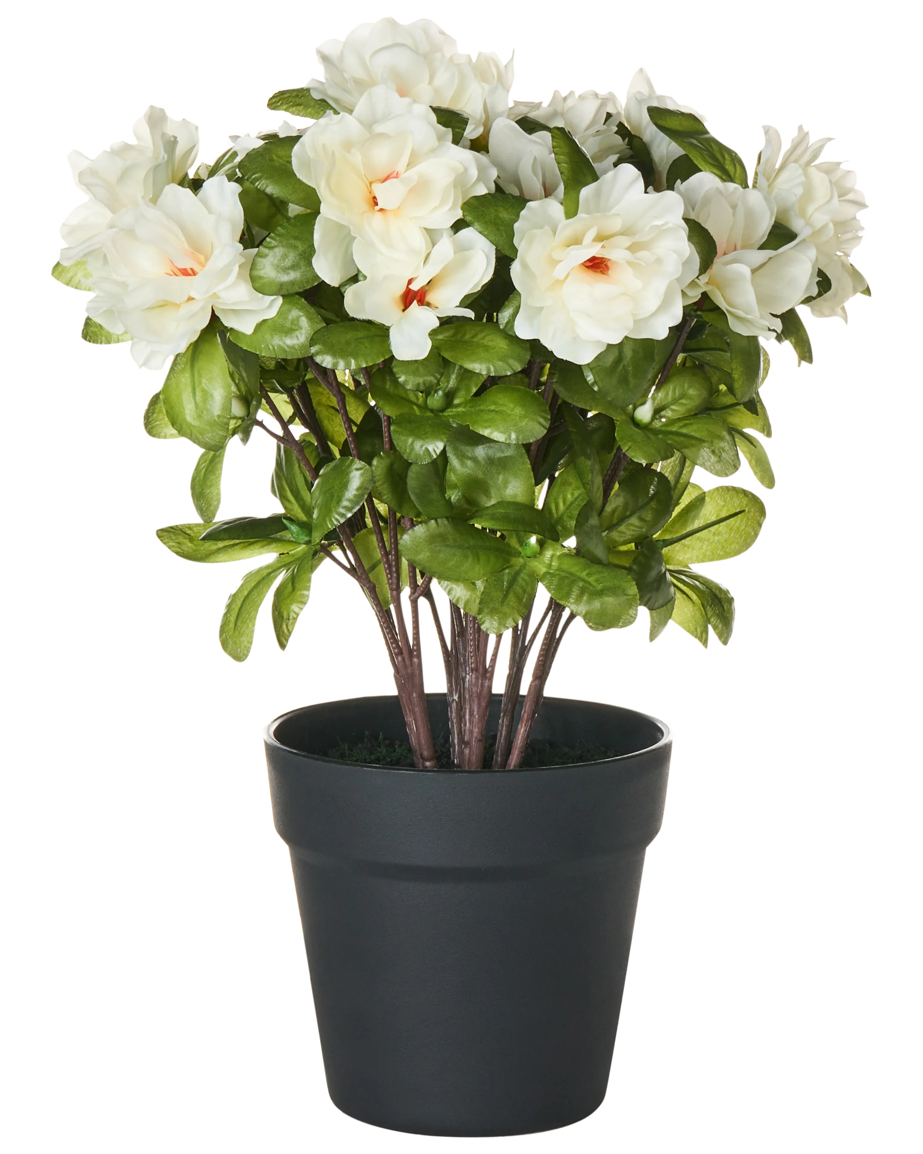 Artificial Plant NOVELLA 36 cm White