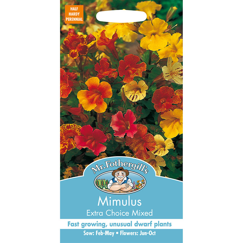 Gyckelblomma 'Extra Choice Mixed'