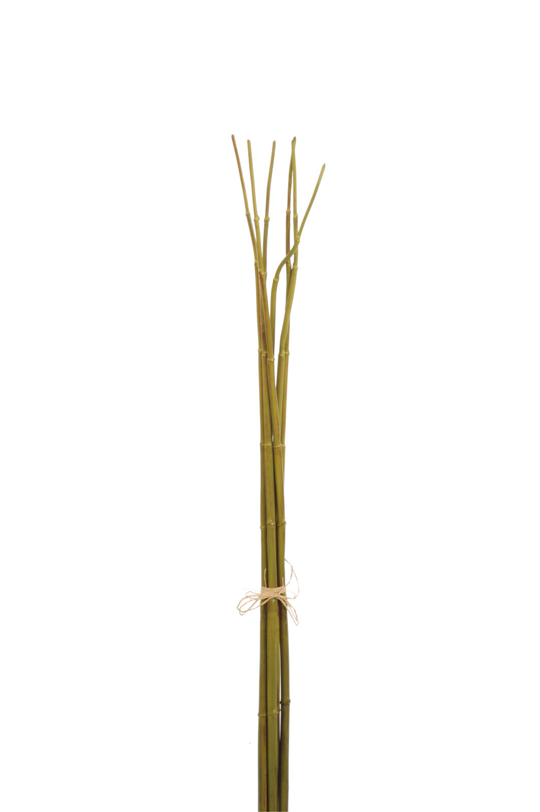 J-Line decoratie tak Bamboebundel - kunststof - groen - small - 12 stuks