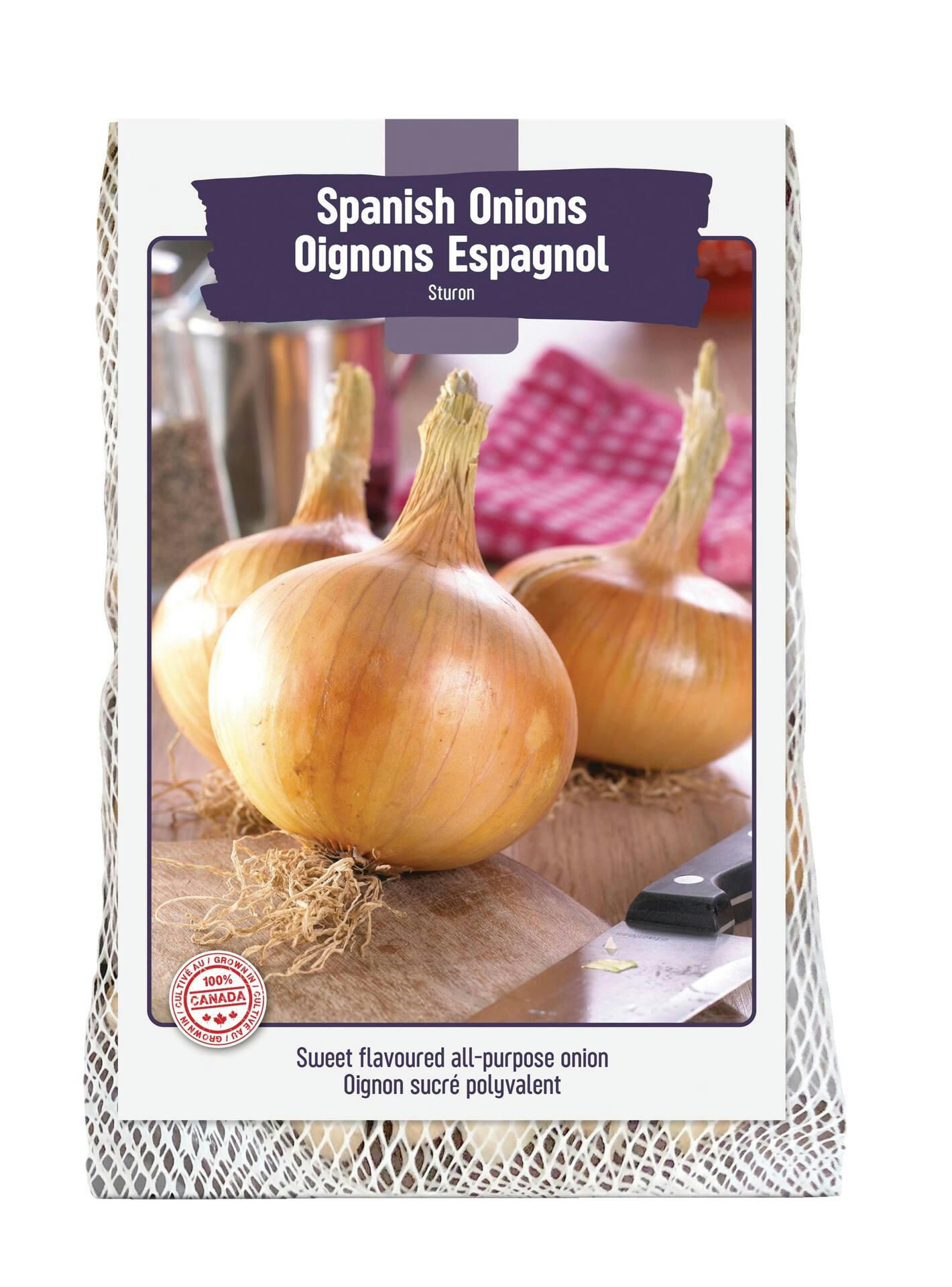 Bulbs Are Easy, Sturon Spanish Onion Bulbs, Ready to Plant for your Home Garden