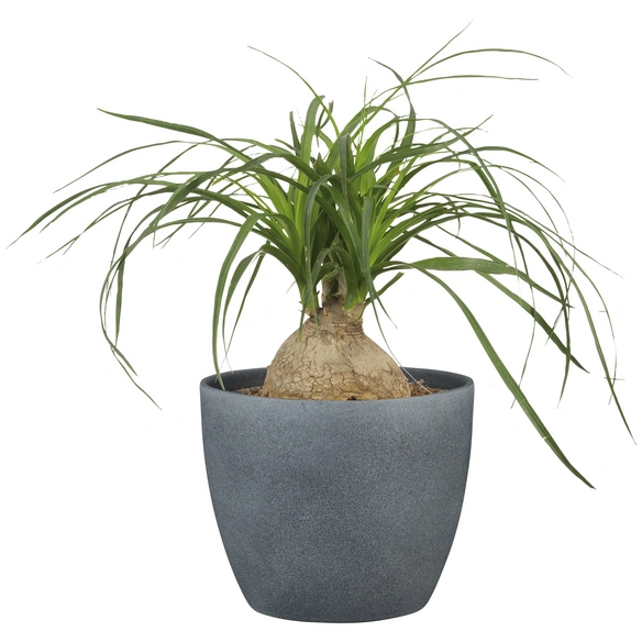 Übertopf »STONE«, Breite: 25 cm, grau, Keramik