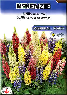 McKenzie, Perennial Flower Seeds, Assorted