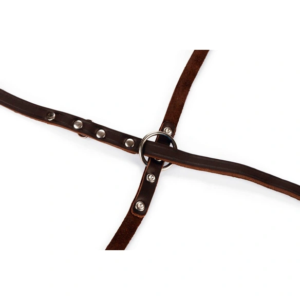 Hundeleine »Rondo«, BxL: 4,5 x 22,5 cm, braun, Leder