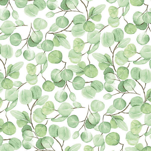 Crédence à coller Eucalyptus 100 x 40 cm