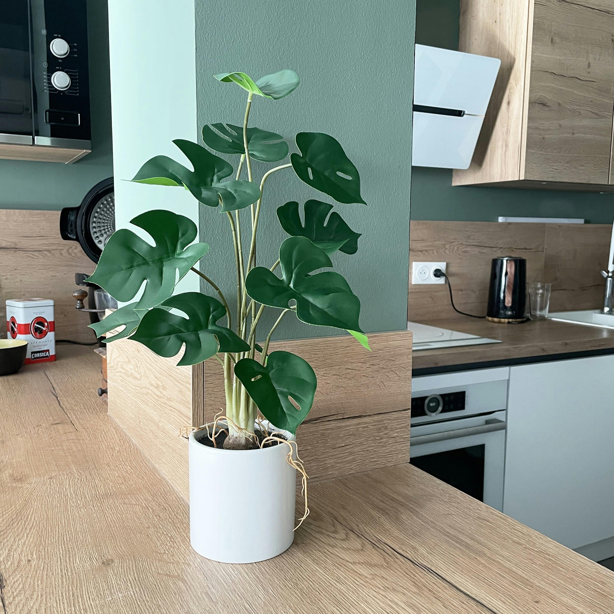 - Monstera artificiel en pot céramique blanc 50cm
