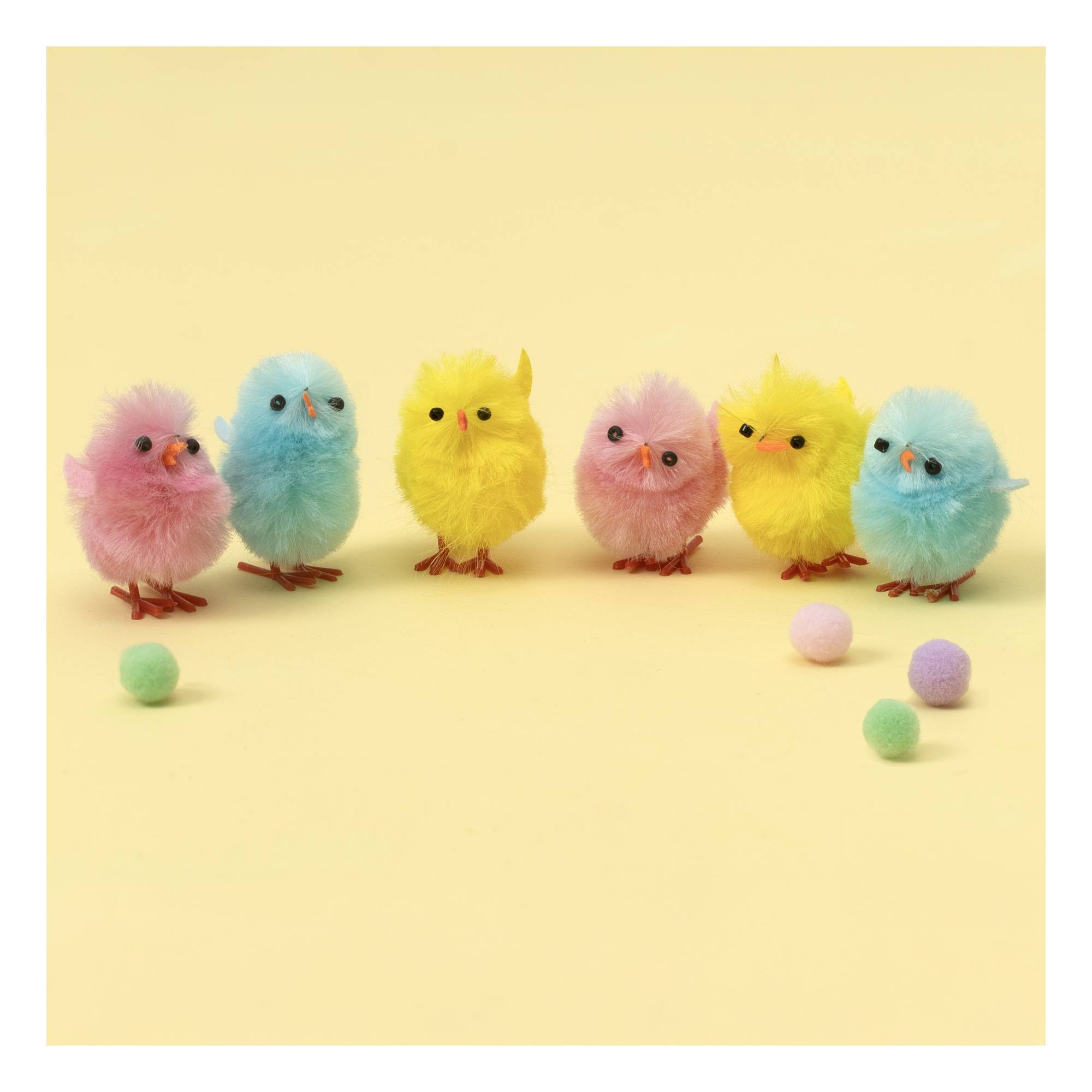 Multicolour Chicks 6 Pack