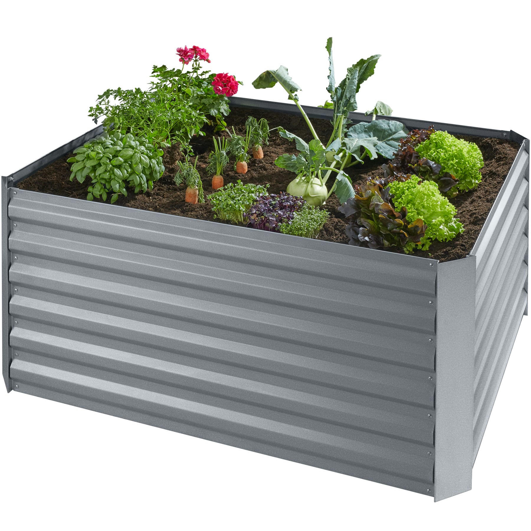 - Carré potager argent