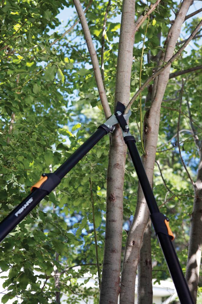 Fiskars Telescoping Power-Lever® Lopper (25-37-in)