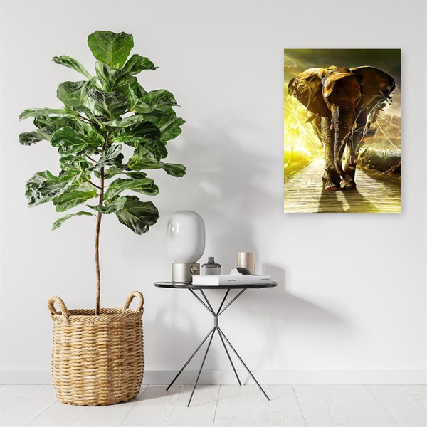 Feeby Obraz na płótnie Słoń na drodze 40x60